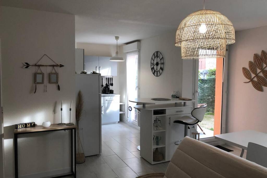 Appartement Cosy Avec Jardin A Blagnac. ภายนอก รูปภาพ