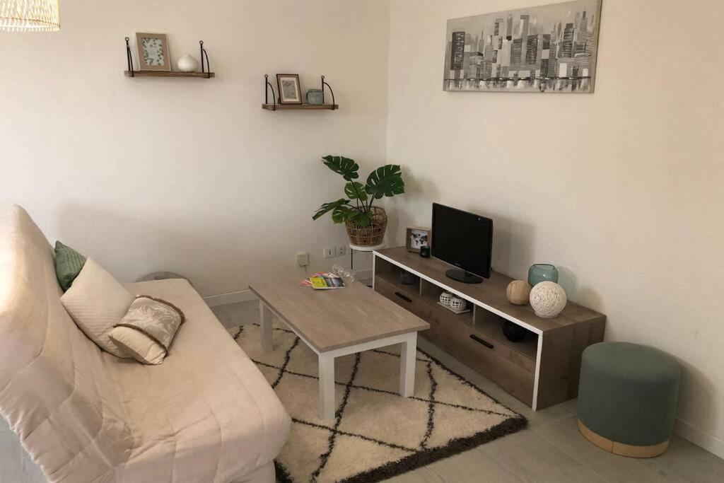 Appartement Cosy Avec Jardin A Blagnac. ภายนอก รูปภาพ
